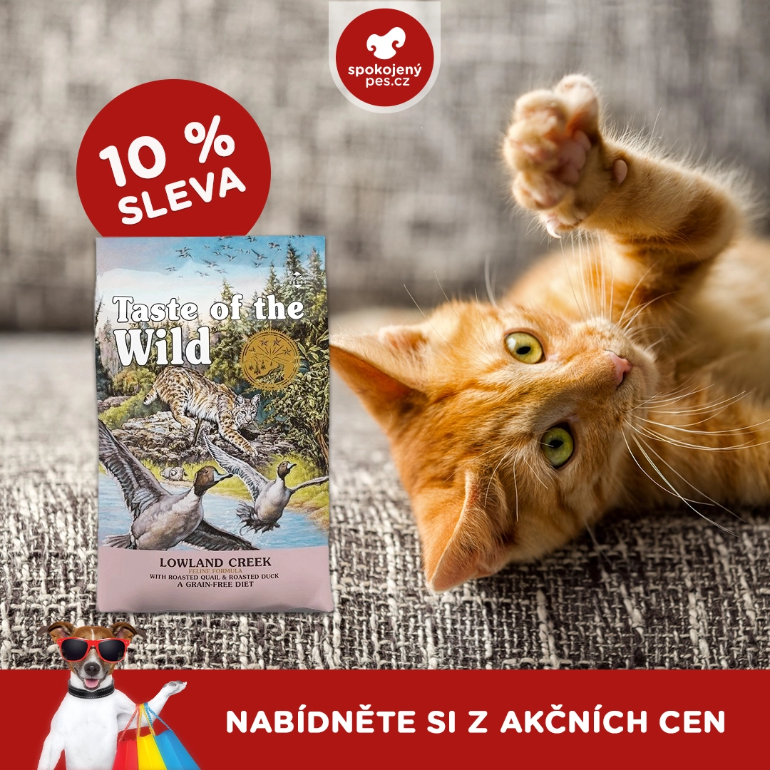 cat08 - kopie.webp
